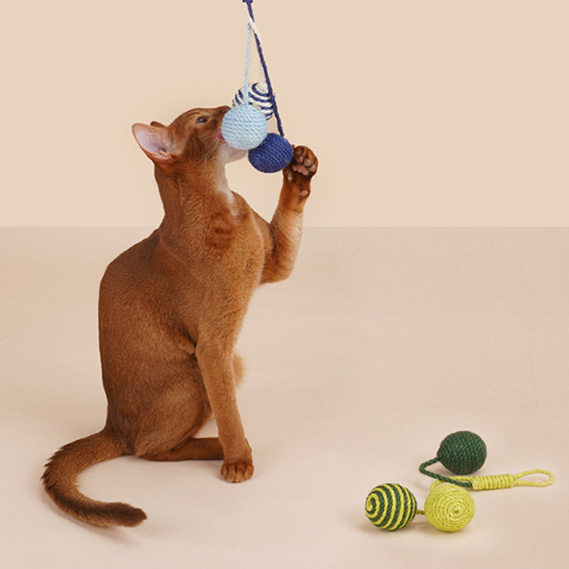 Cat Teaser Stick with Bite-Resistant Catnip Ball Set