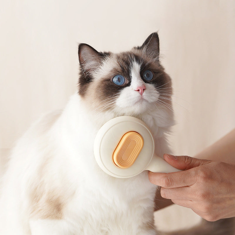 Cat Hair Removal Brush