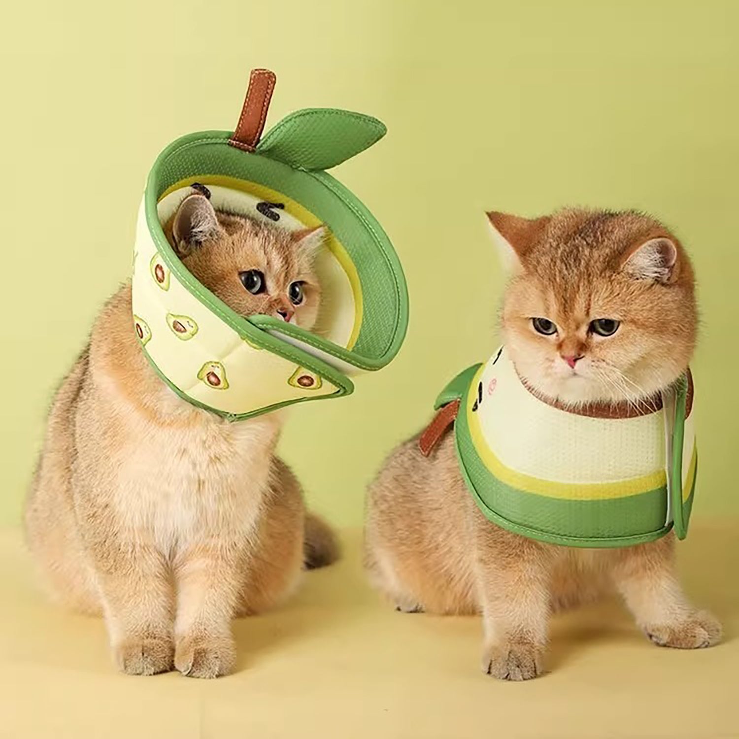 Cat Cone Collar