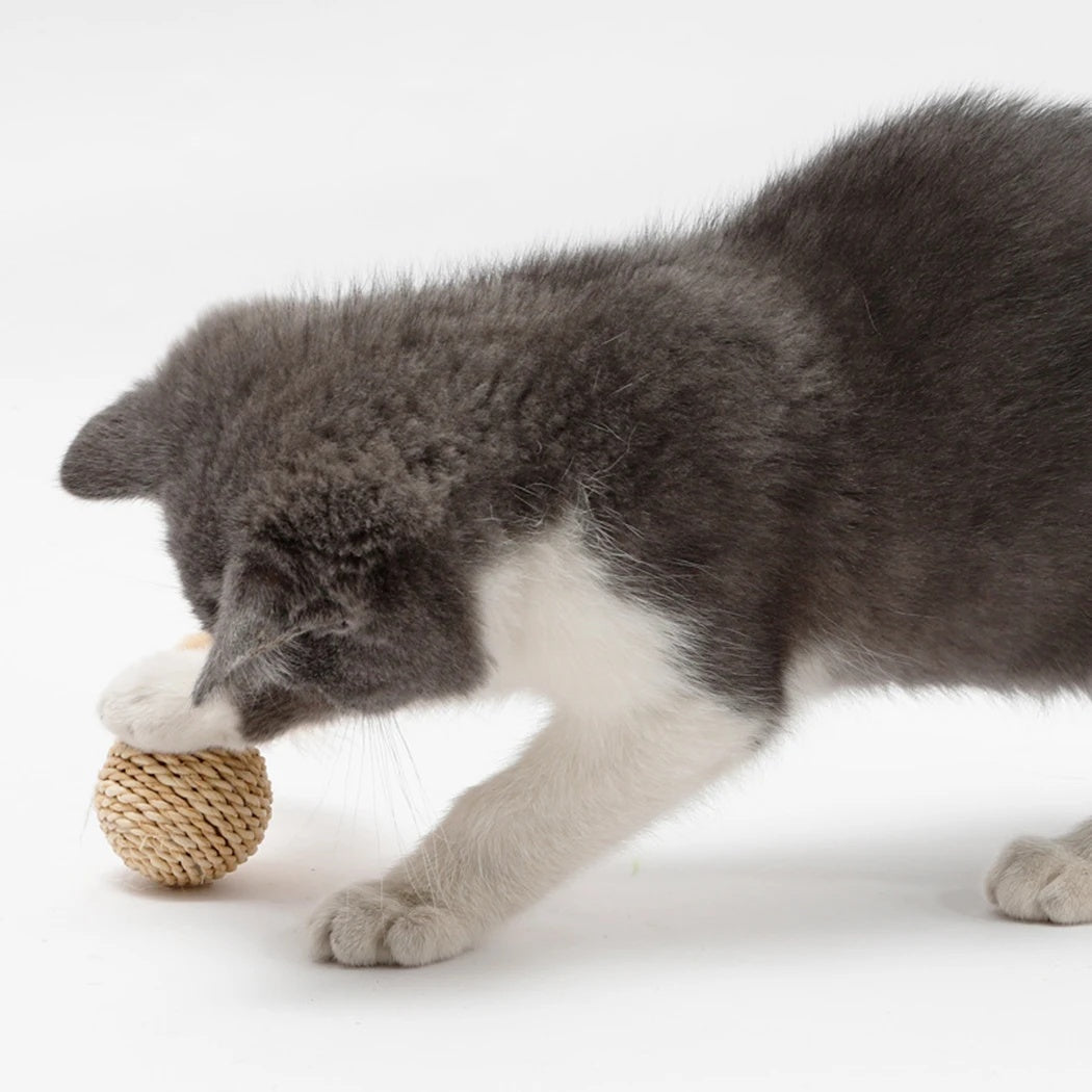 2pcs Cat Toy Rattan Ball & Feather Bell Ball Kitten Interactive Toys