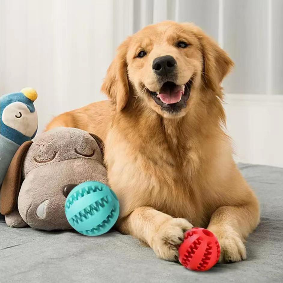 Tooth Cleaning Bite Resistant Toy