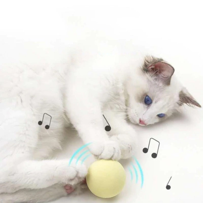 Interactive Gravity Ball Sounding Cat Toy