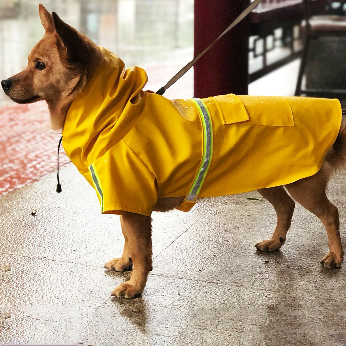 Waterproof Dog Raincoat with Reflective Stripes