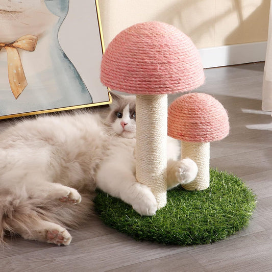 Cat Scratching Post Mushroom