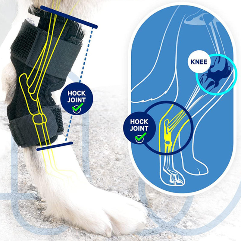 Pet Knee Pads