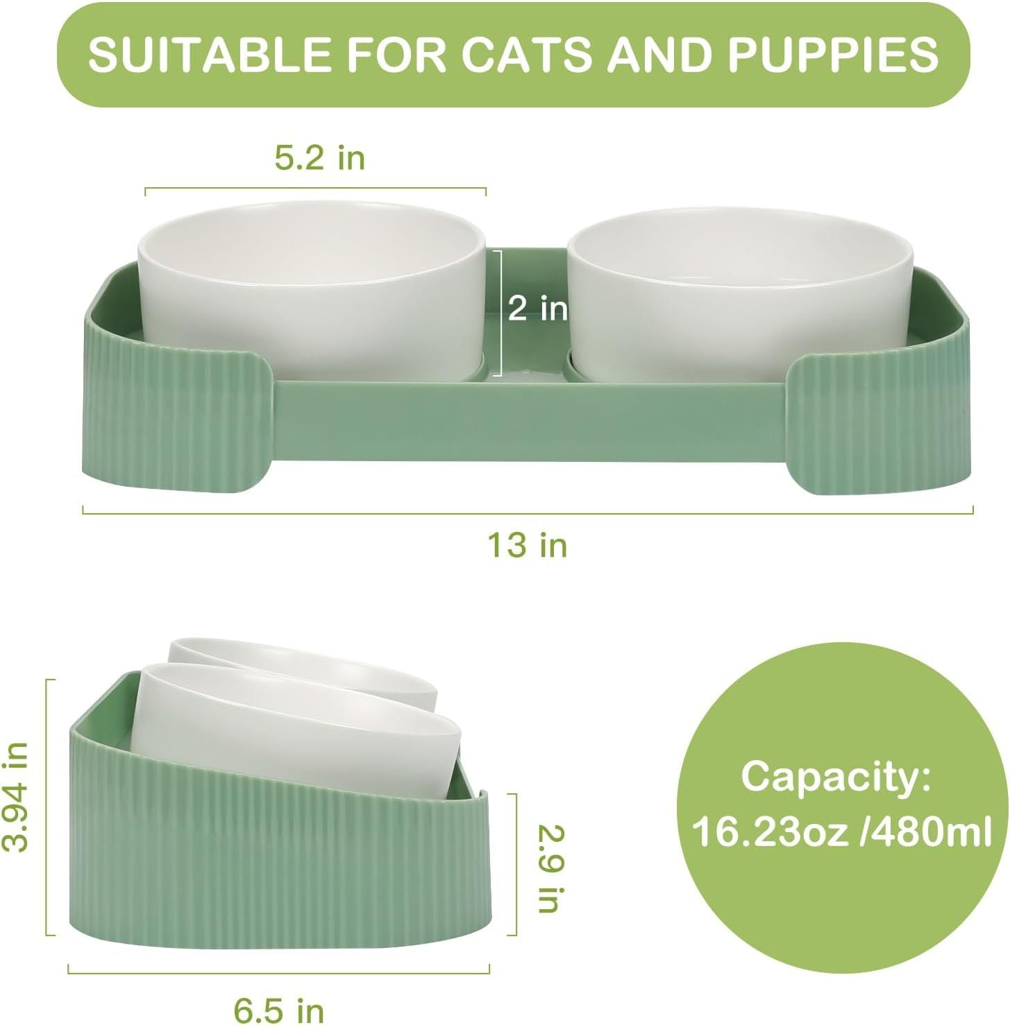 Ceramic Elevated Cat Bowls 15° Tilted Anti-Vomiting Set