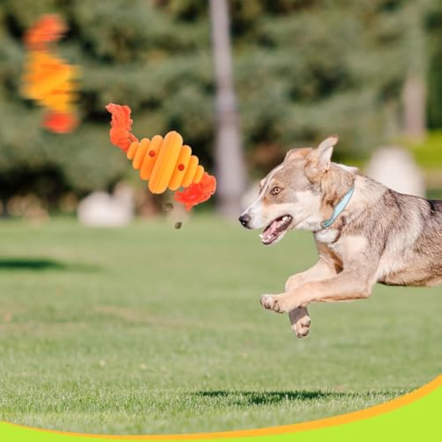 Interactive Dog Ball with Rope Toy