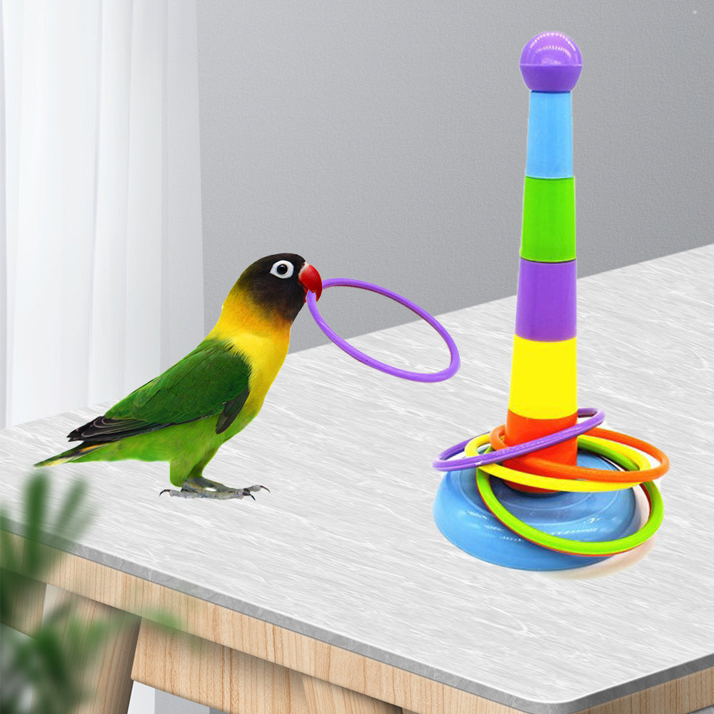 Parrot Toy