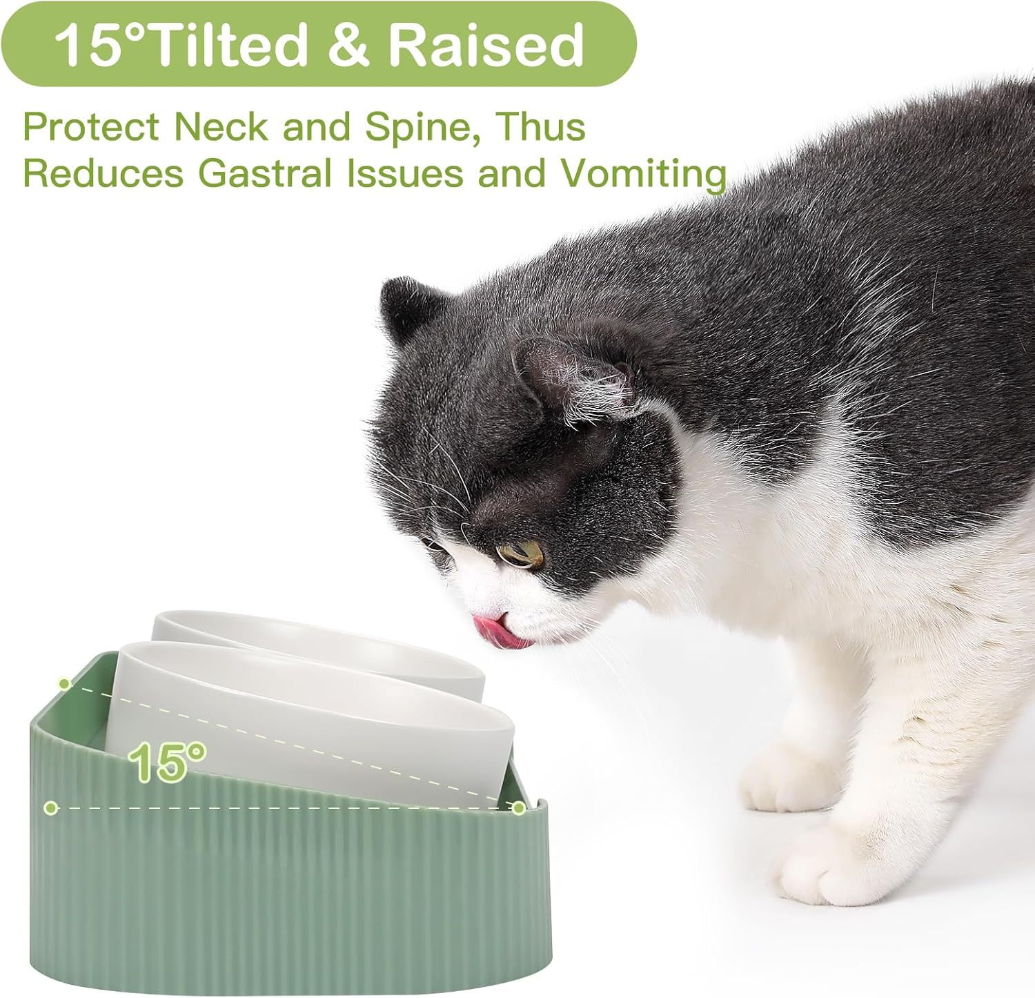 Ceramic Elevated Cat Bowls 15° Tilted Anti-Vomiting Set