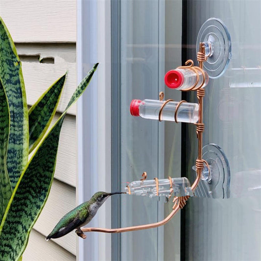 Suction Cup Hummingbird Feeder with Copper Perches