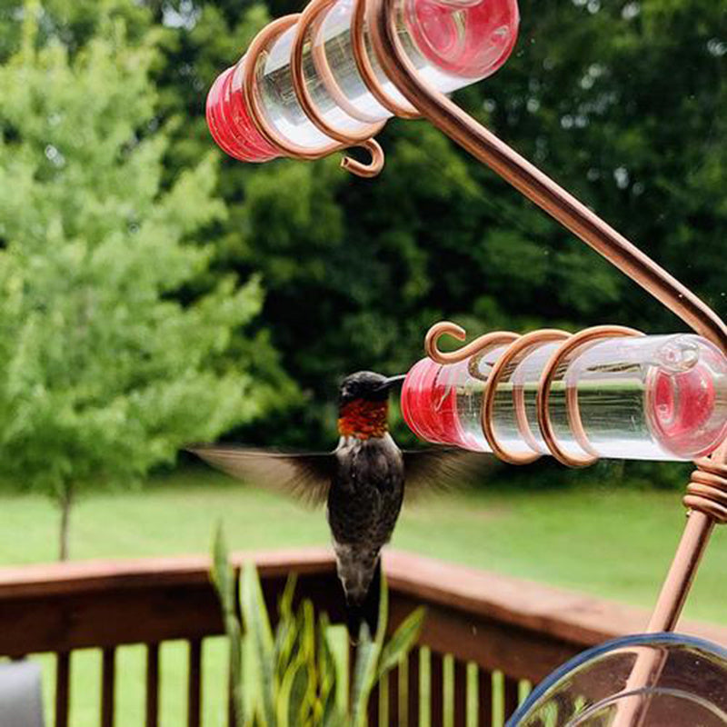 Suction Cup Hummingbird Feeder with Copper Perches