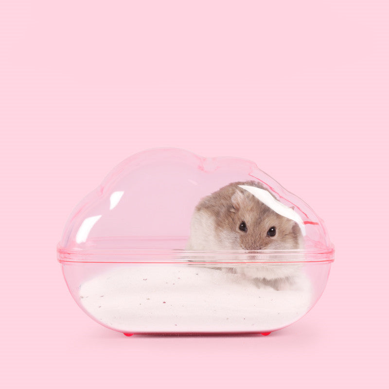 Hamster Cloud Bathroom