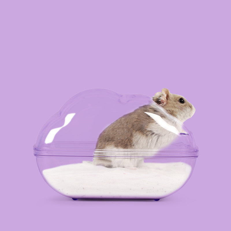 Hamster Cloud Bathroom