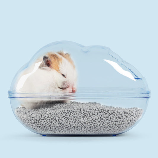 Hamster Cloud Bathroom