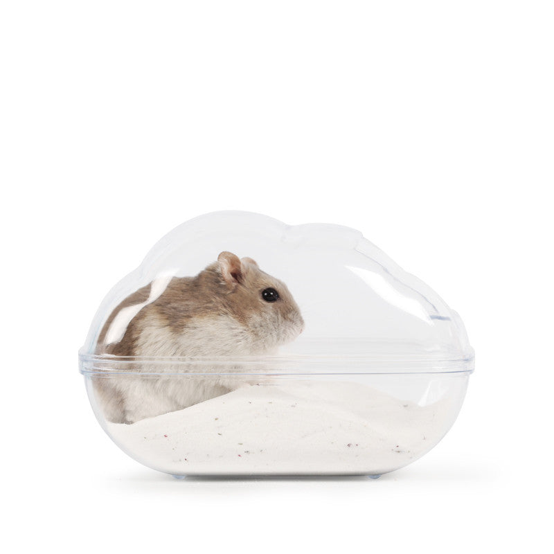 Hamster Cloud Bathroom