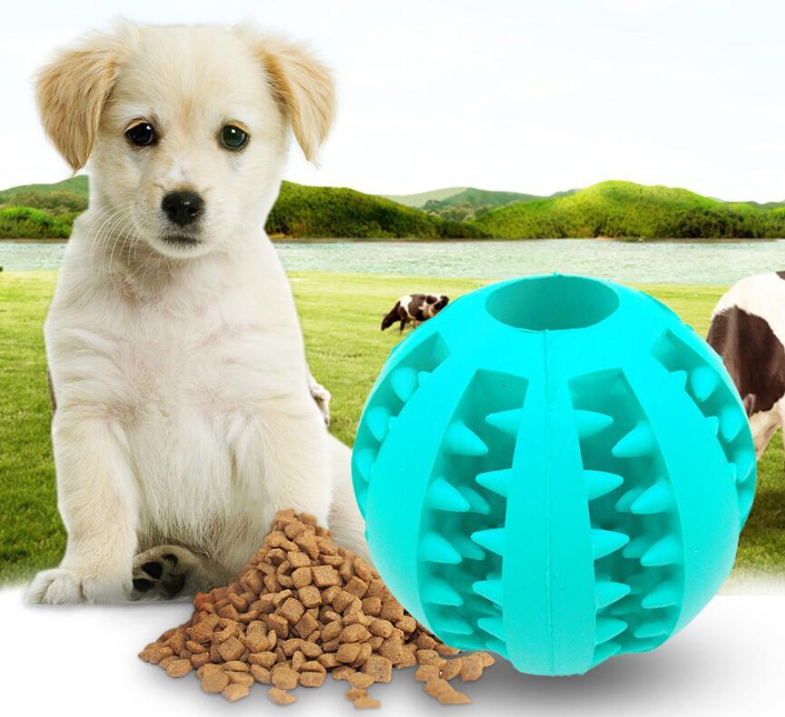 Pet Slow Feeder Rubber Ball Toy