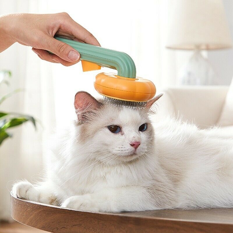 Self-Cleaning Pumpkin Brush