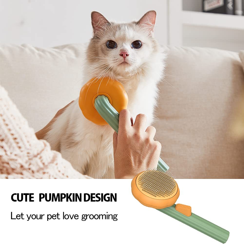 Self-Cleaning Pumpkin Brush