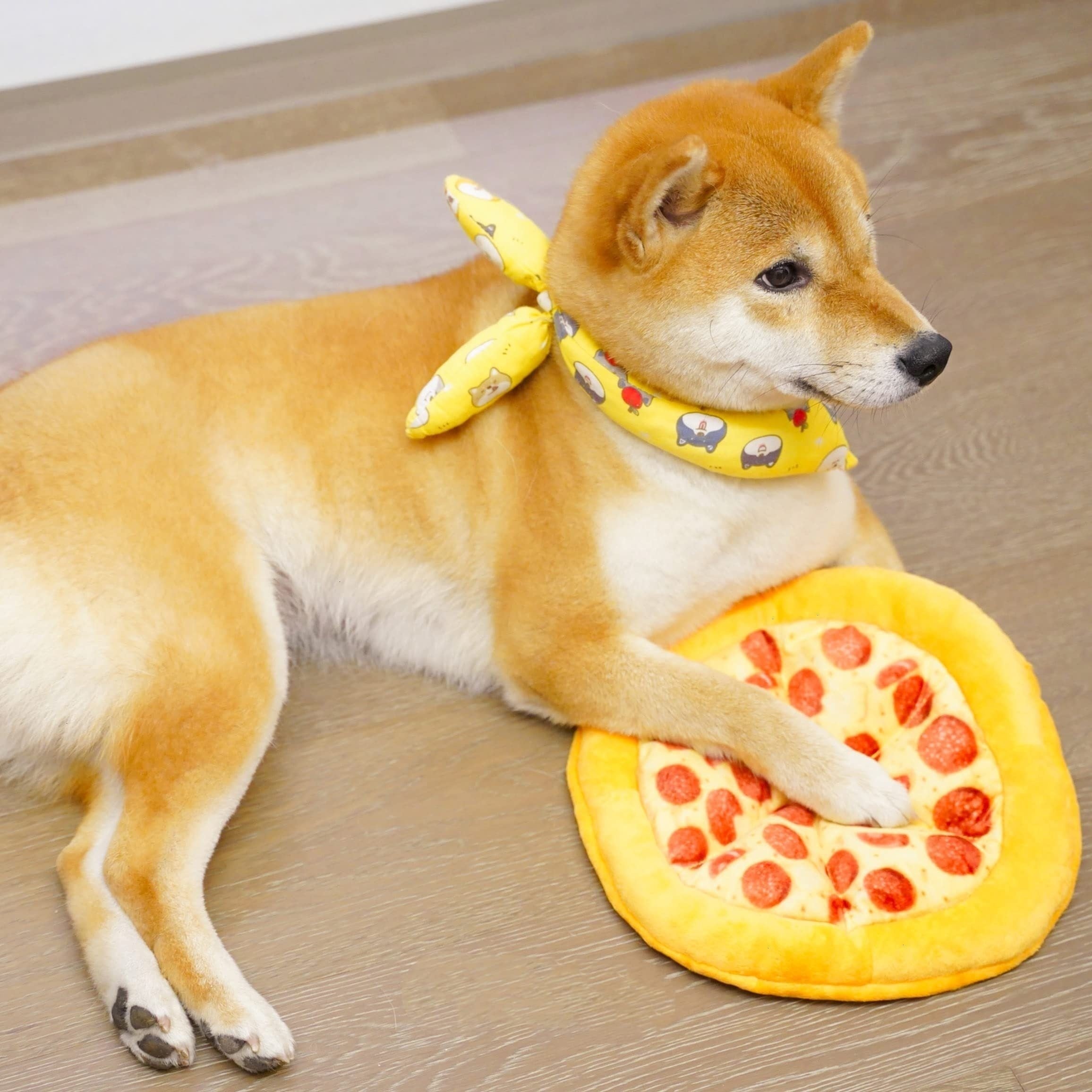 Pet Teddy Toy Pizza