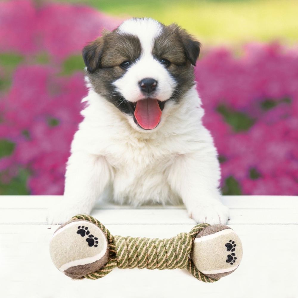 Interactive Cotton Rope Dog Toy