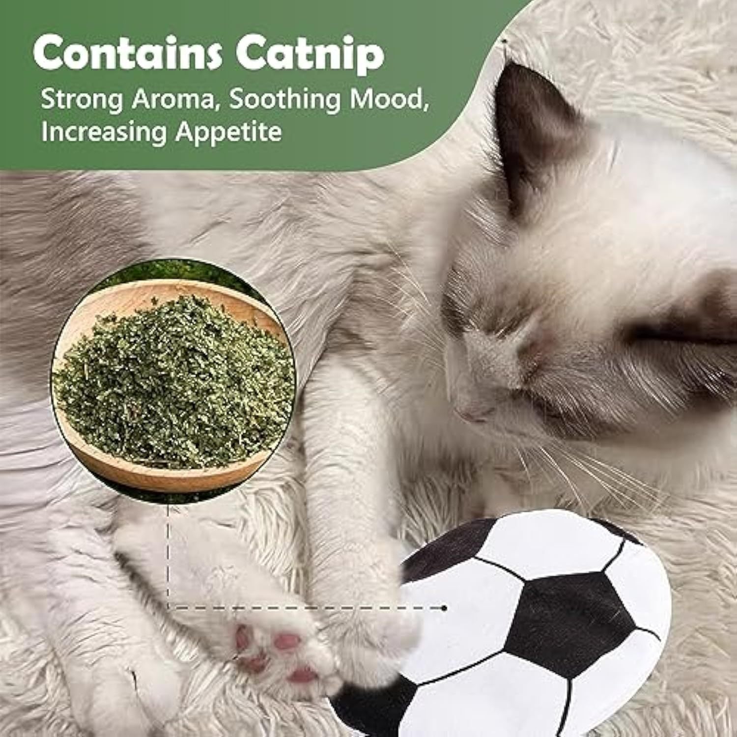 Catnip Crinkle Toy for Indoor Cats