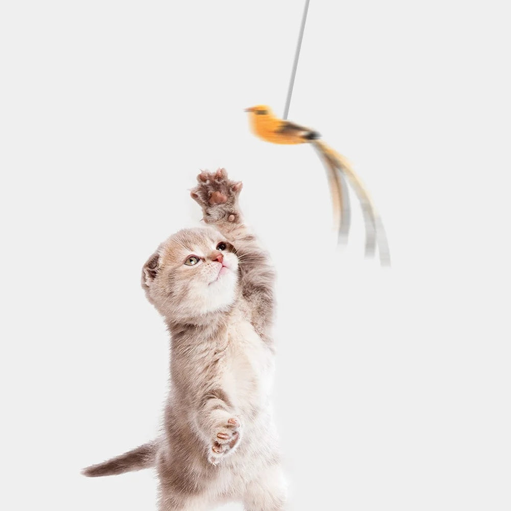 Automatic Lifting Motion Cat Toy