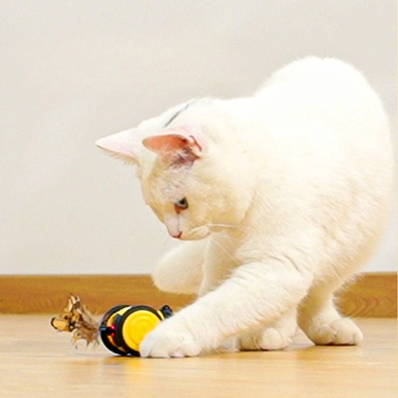 Electric Bee Cat Toy