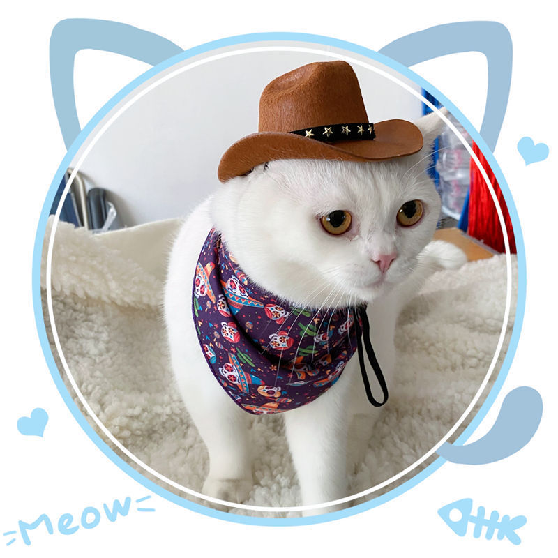 British Style Cowboy Cat Hat