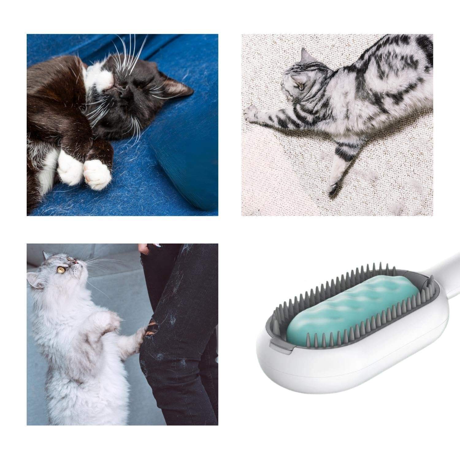 4-in-1 Cat Hair Brush with Water Tank