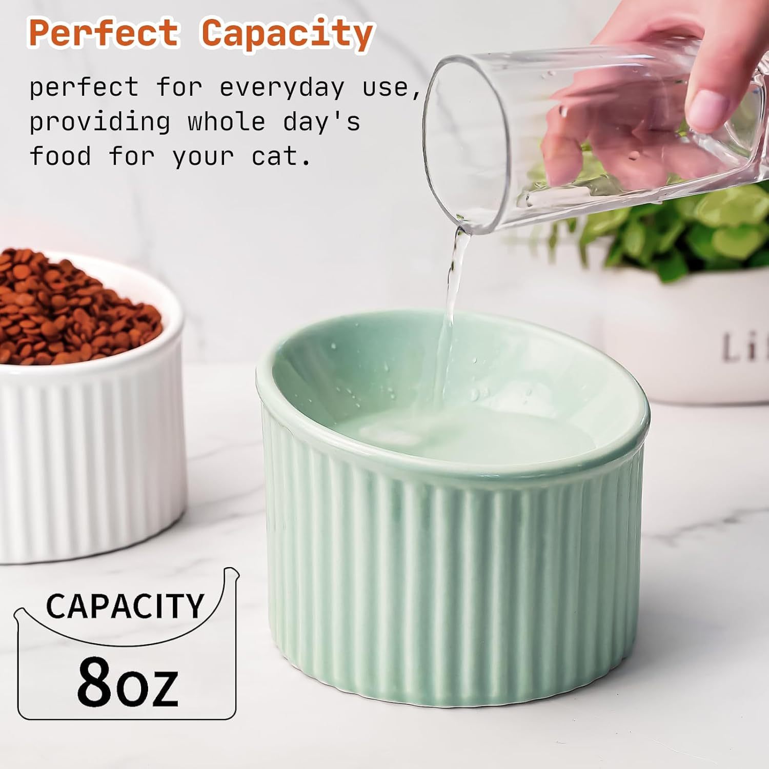 Elevated Ceramic Cat Bowls