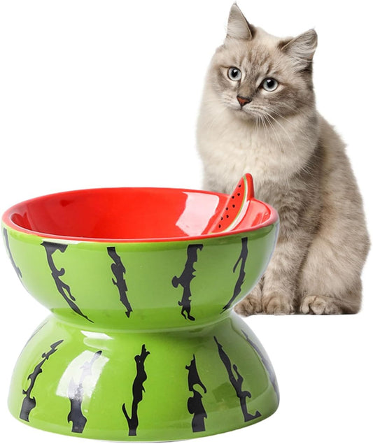 Elevated Ceramic Cat Bowl