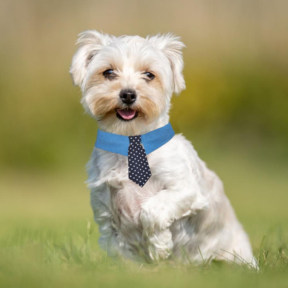 Formal Dog Necktie