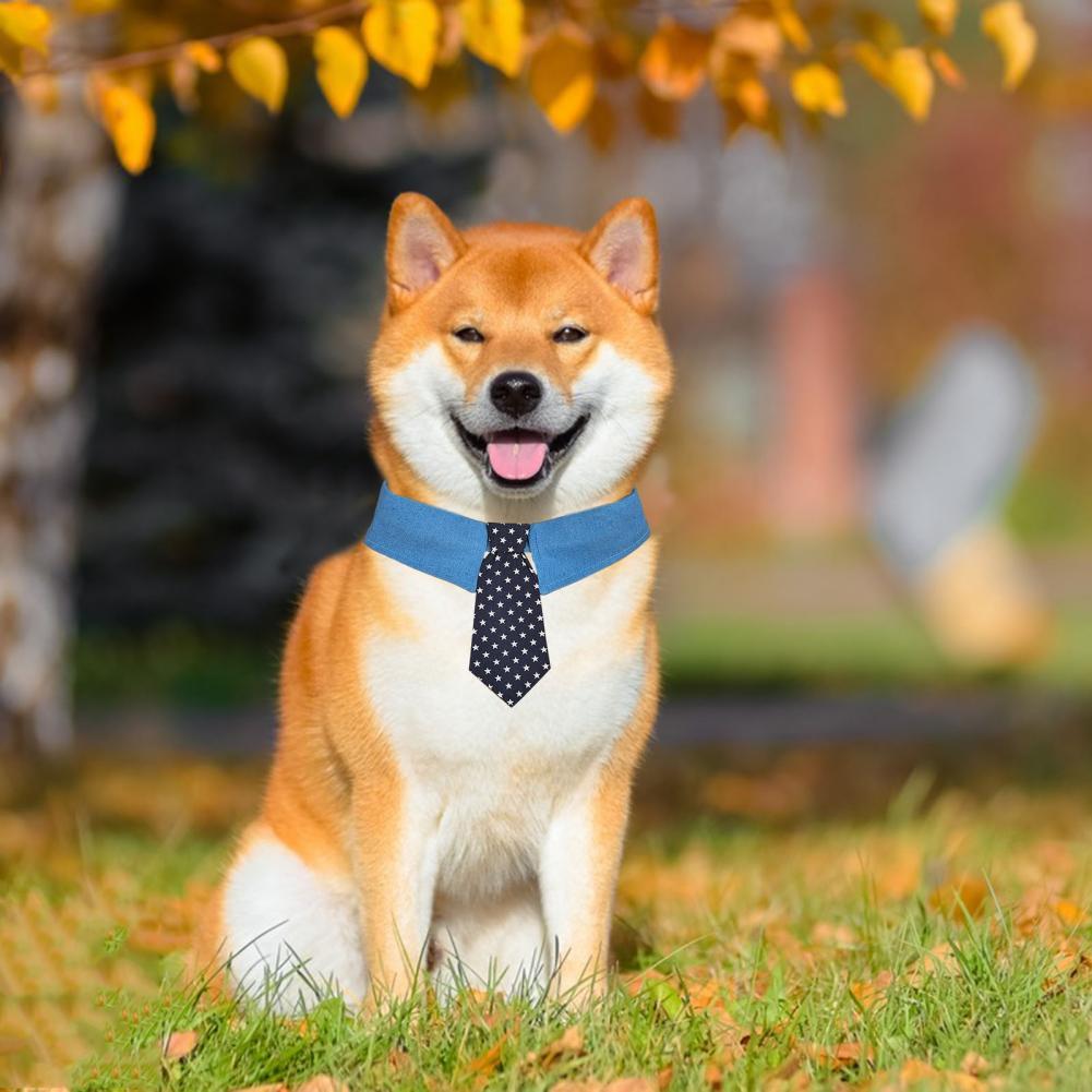 Formal Dog Necktie