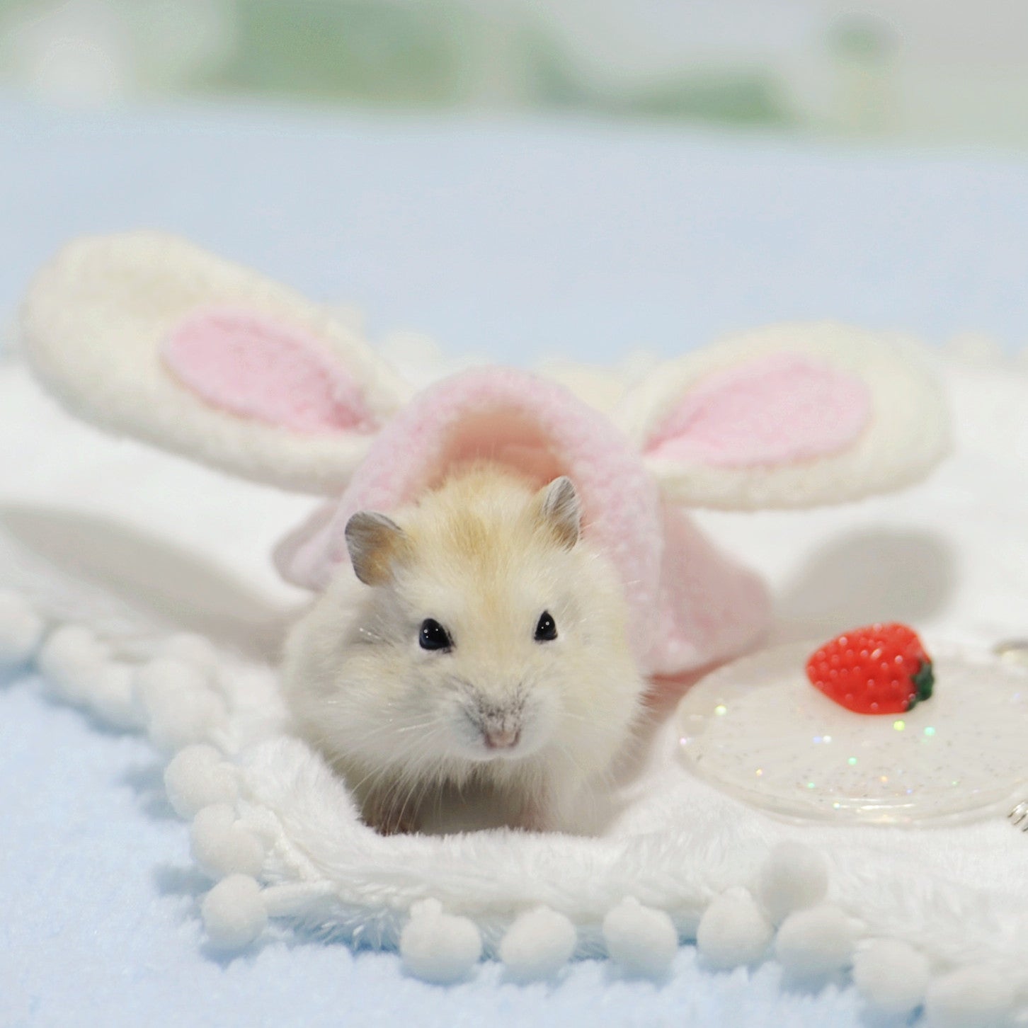 Pet hamster clothes