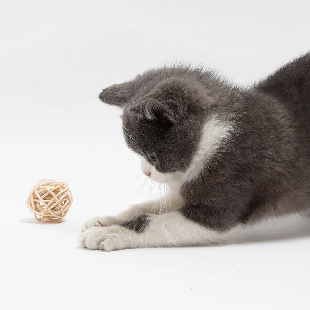 2pcs Cat Toy Rattan Ball & Feather Bell Ball Kitten Interactive Toys