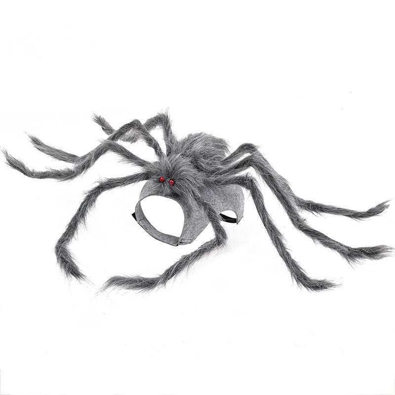 Halloween Spider Pet Costume