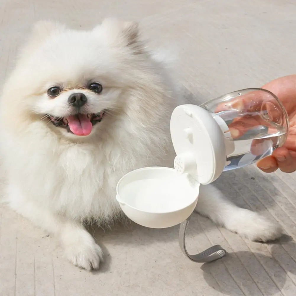 Portable Pet Water Bottle