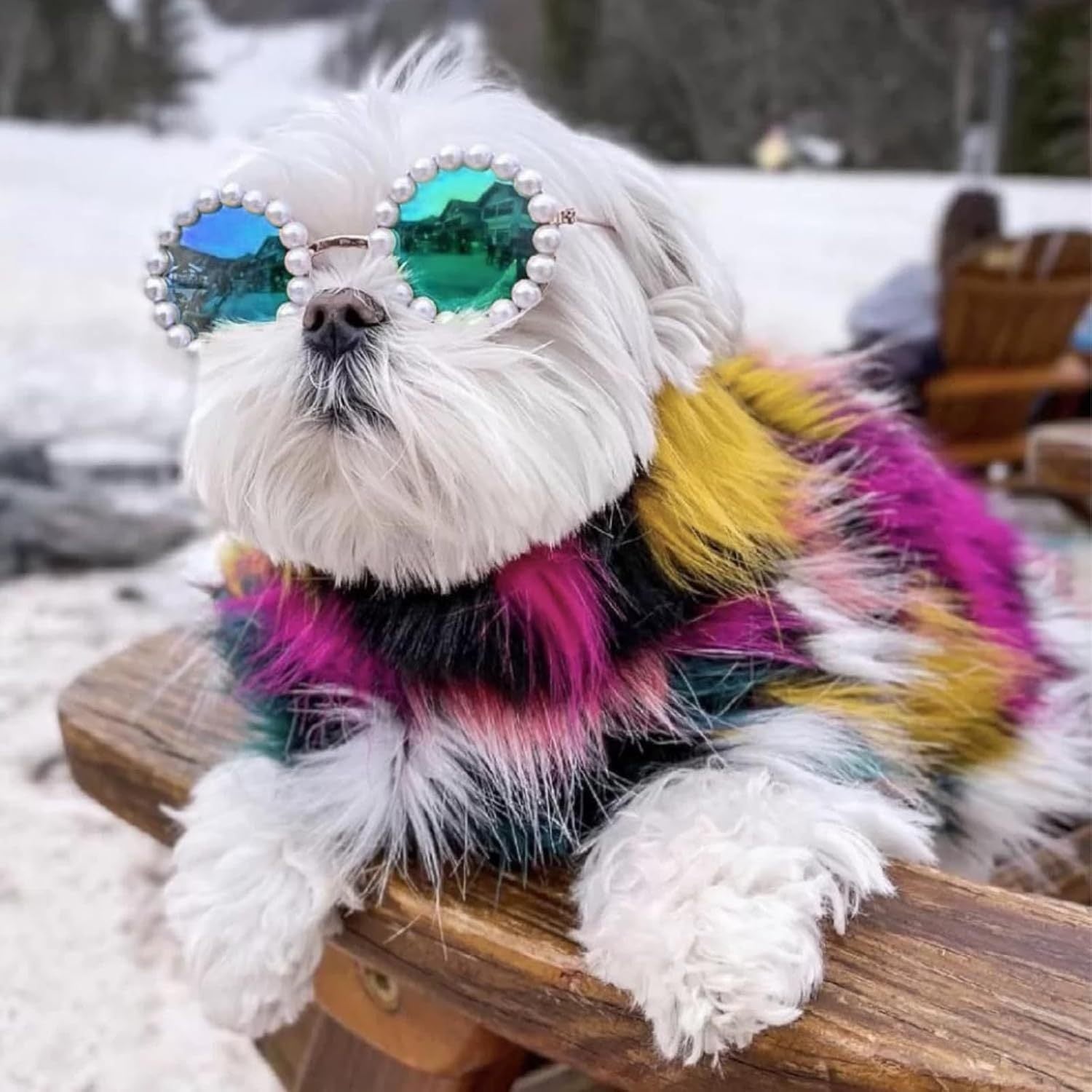 Pearl Sunglasses for Pets