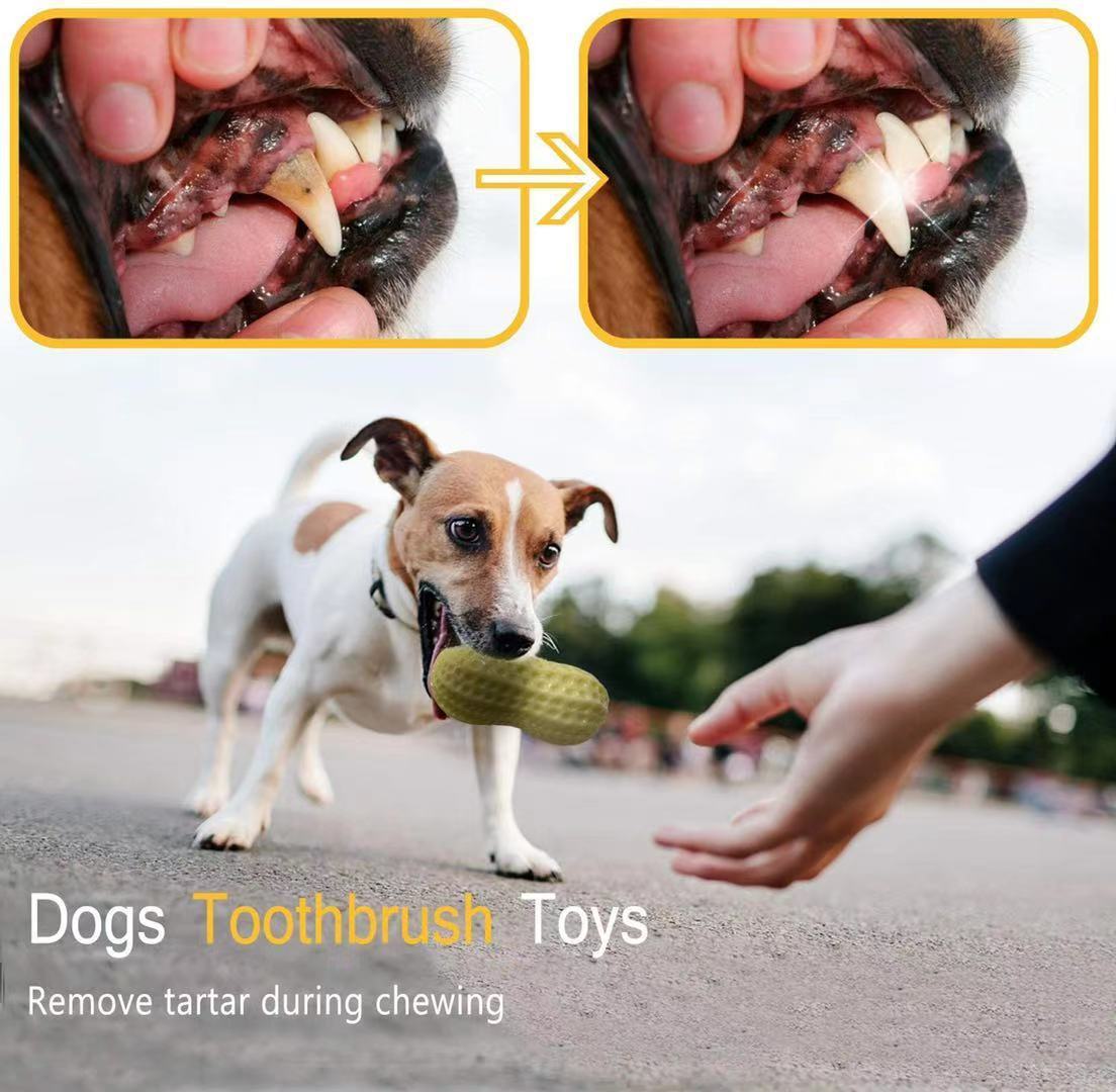 Rubber Tooth Cleaning Toy