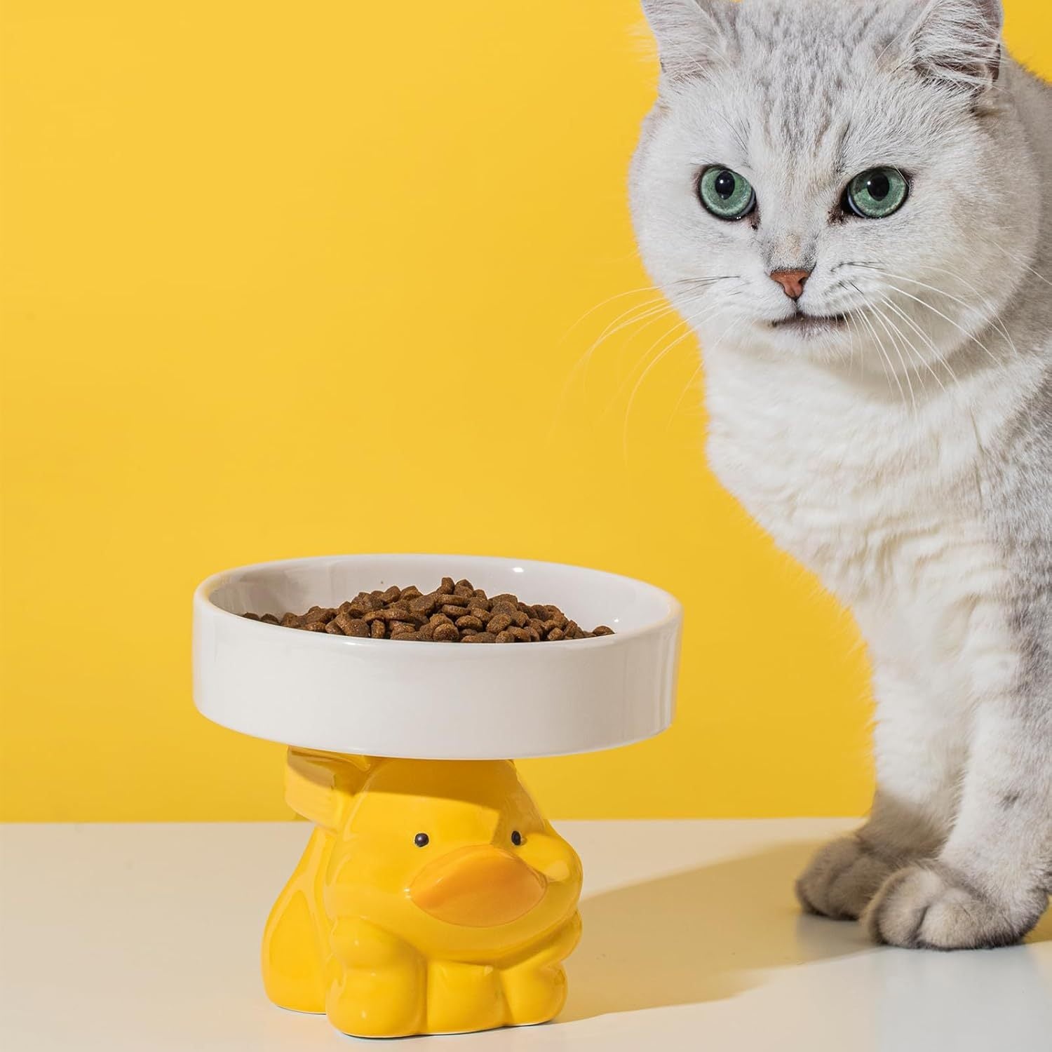 Raised Ceramic Cat Food and Water Bowl