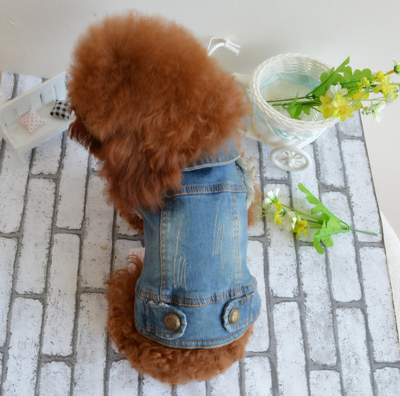 Shell Pet Dog Clothes