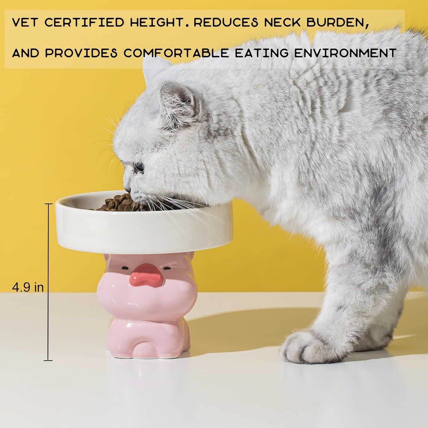 Raised Ceramic Cat Food and Water Bowl