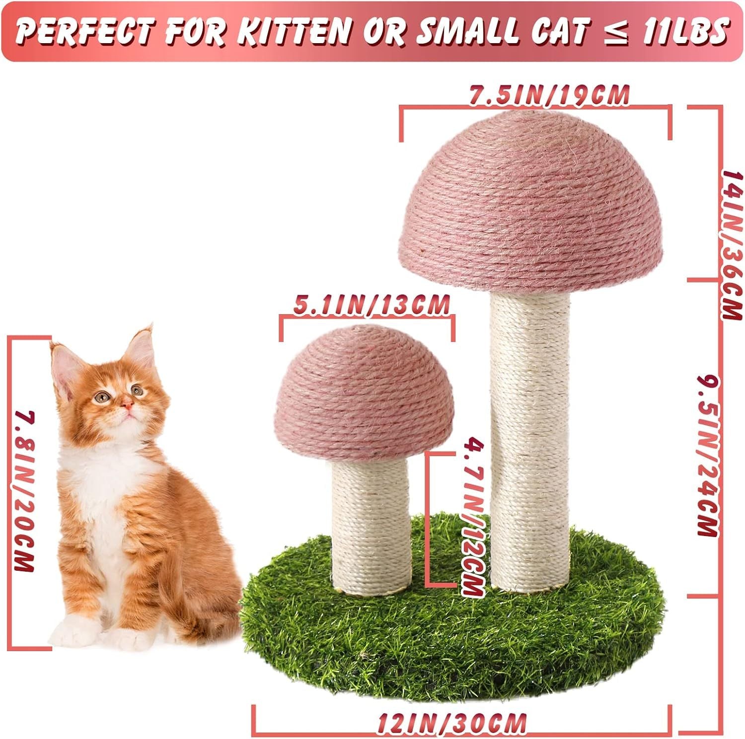 Cat Scratching Post Mushroom