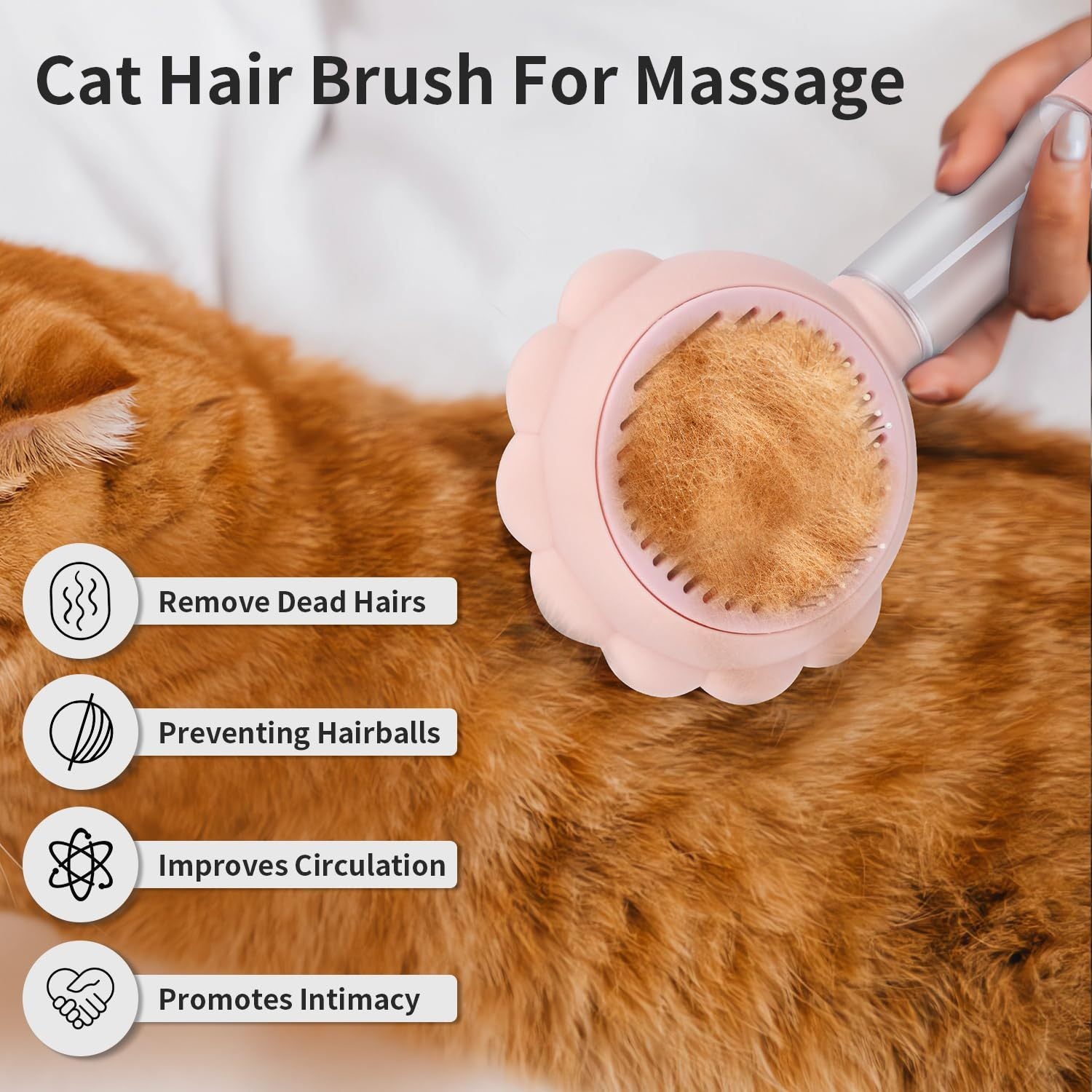 3-in-1 Spray Cat Brush with Release Button