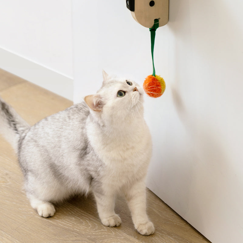 Over-the-Door Cat Tree with Hammock