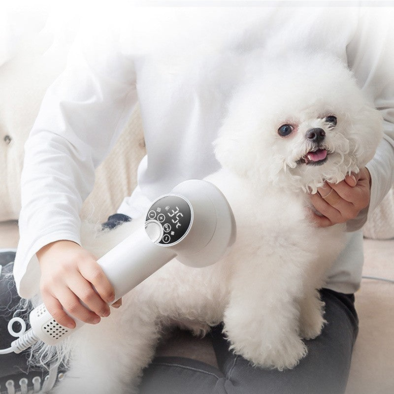 Quiet 2-in-1 Pet Hair Dryer & Comb