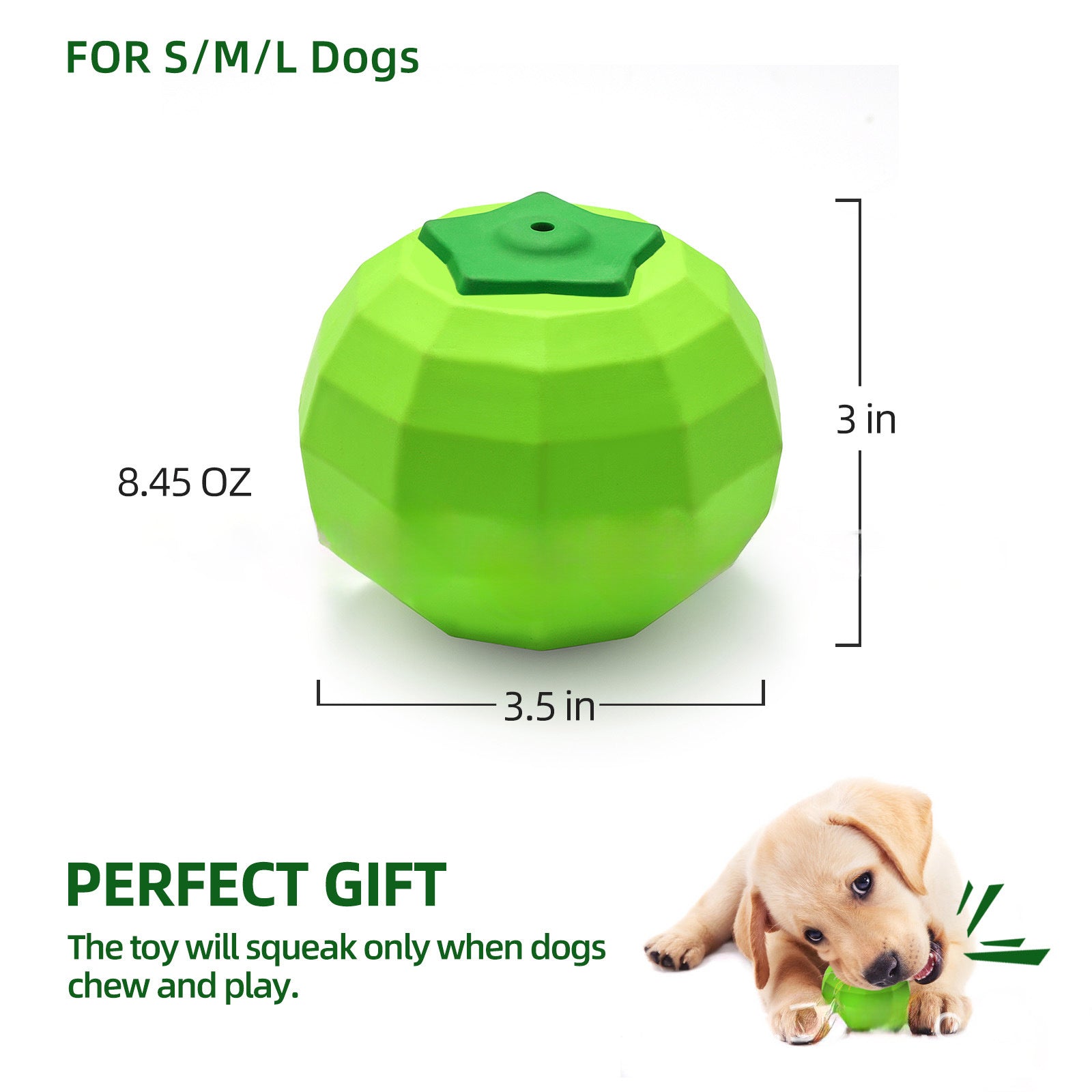 Squeaky Chew Toy for Aggressive Chewers