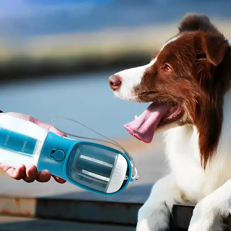 Portable 3-in-1 Pet Water Bottle