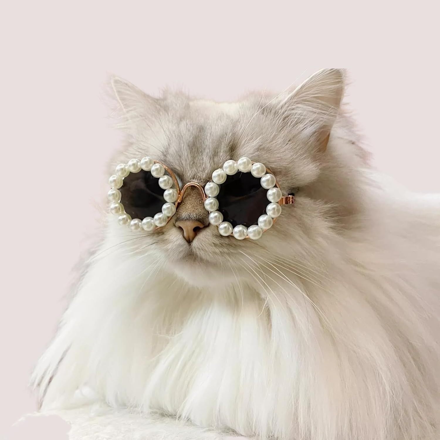 Pearl Sunglasses for Pets