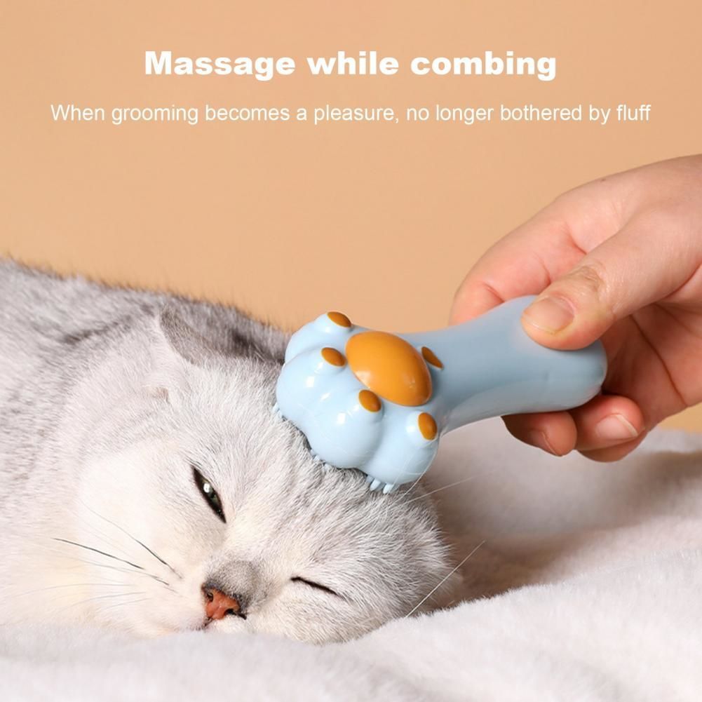 Cartoon Cat Toy & Massage Comb